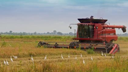 Cover image for Harnessing frontier technology for food security in Nigeria