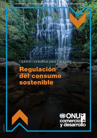 Cover image for Advisory opinion for Paraguay: Regulation of sustainable consumption 
