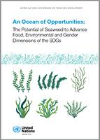 Cover image for An ocean of opportunities: The potential of seaweed to advance food, environmental and gender dimensions of the SDGs