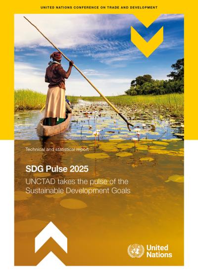 Cover image for SDG Pulse 2025