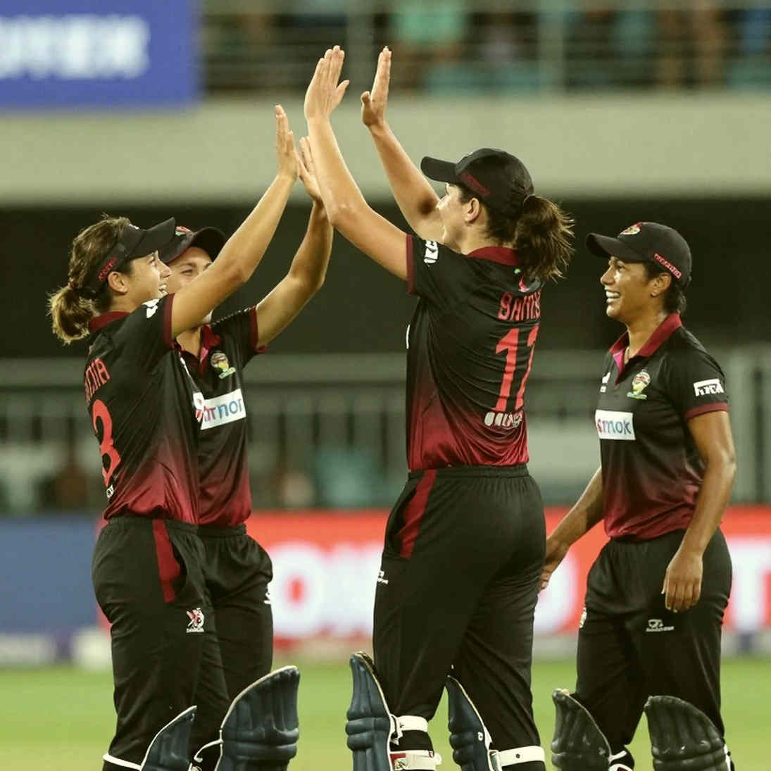 খালি স্তর: ক্রিকেট আর্কাইভ যখন কিছুই ফেরত দেয় না